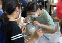 한국도자재단, 박물관 직업 체험 프로그램 ‘나는야 고고학자!’ 참가자 모집