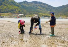 경관·체험·숙박·음식…올해 ‘일등어촌’ 체험휴양마을은