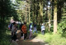 맞충형 숲체험 프로그램 운영