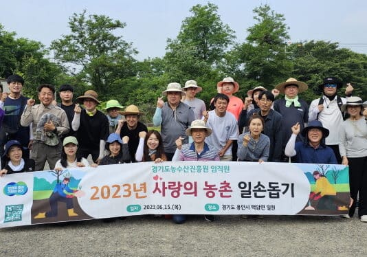 농수산진흥원, 용인 양파농가에서 농촌일손 도와