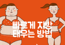 빠르게 지방 태우는 방법
