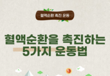 혈액순환을 촉진하는 5가지 운동