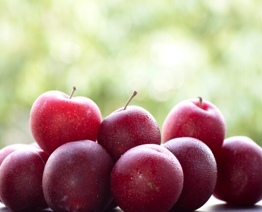 불쾌지수 높은 ‘여름’에 먹으면 딱 좋은 음식 6