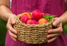 8월 제철 음식엔 ‘항암 성분’ 듬뿍~ 꼭 챙겨 드세요