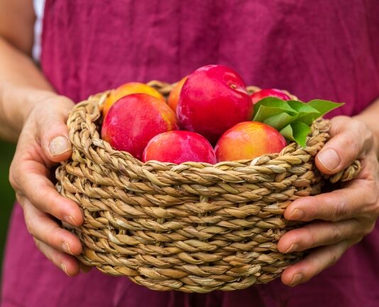 8월 제철 음식엔 ‘항암 성분’ 듬뿍~ 꼭 챙겨 드세요