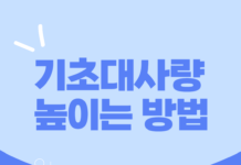 기초대사량 높이는 방법