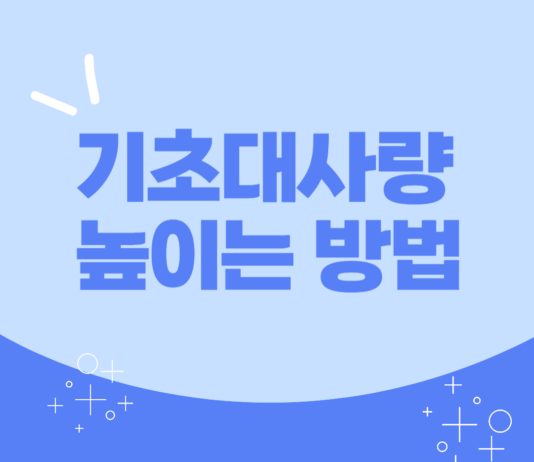 기초대사량 높이는 방법