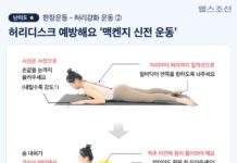 “아이고 허리야” 곡소리 이제 끝! 이 운동 따라 해보세요