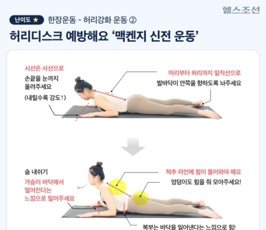 “아이고 허리야” 곡소리 이제 끝! 이 운동 따라 해보세요