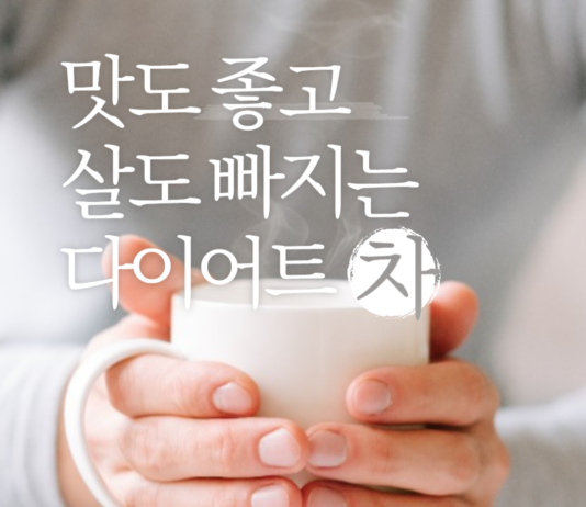 맛도 좋고 살도 빠지는 다이어트