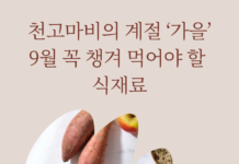 9월 가을에 먹으면 좋은 식재료