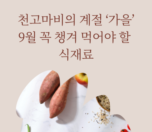9월 가을에 먹으면 좋은 식재료