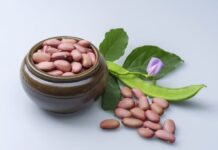 9월이 성큼, 환절기 ‘비염’에서 탈출시켜 주는 음식 5