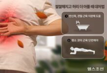 쌀쌀해지고 허리 더 아픈 사람, ‘이 운동’ 해보세요