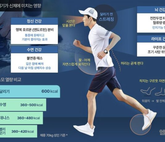가성비 甲 ‘이 운동’, 10분만 하면 살 빠지고 심장·뇌 강화