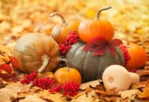 가을이 주는 최고의 선물! 건강 챙기는 제철 식재료 6선