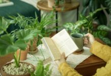 가습기 없이도… 실내 습도 쾌적하게 맞추는 방법