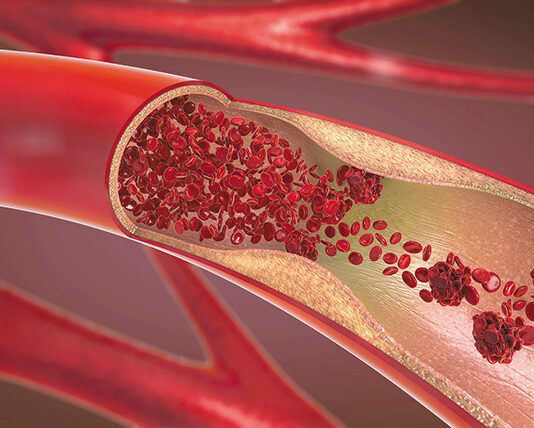 탄력엔 콜라겐 섭취를… 혈관·위장 건강에 도움