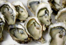 11월 제철 해산물 먹고 건강해지기