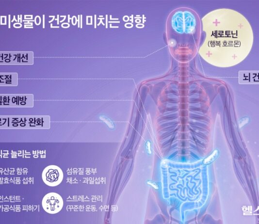 치매 막으려면, 장 속에 ‘이것’ 많아야